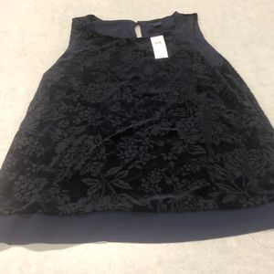 Ann Taylor Velvety blouse